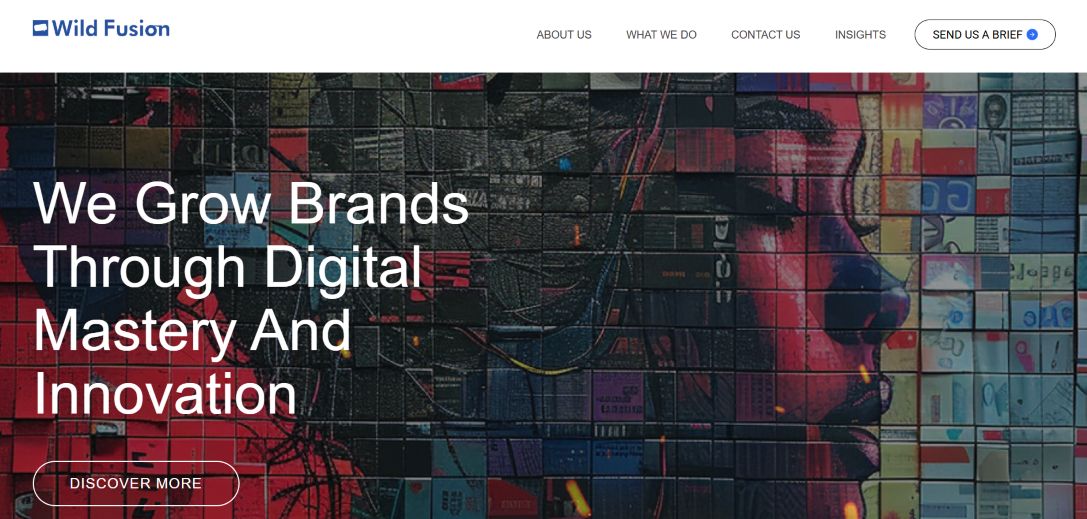 Wild Fusion digital marketing agency homepage