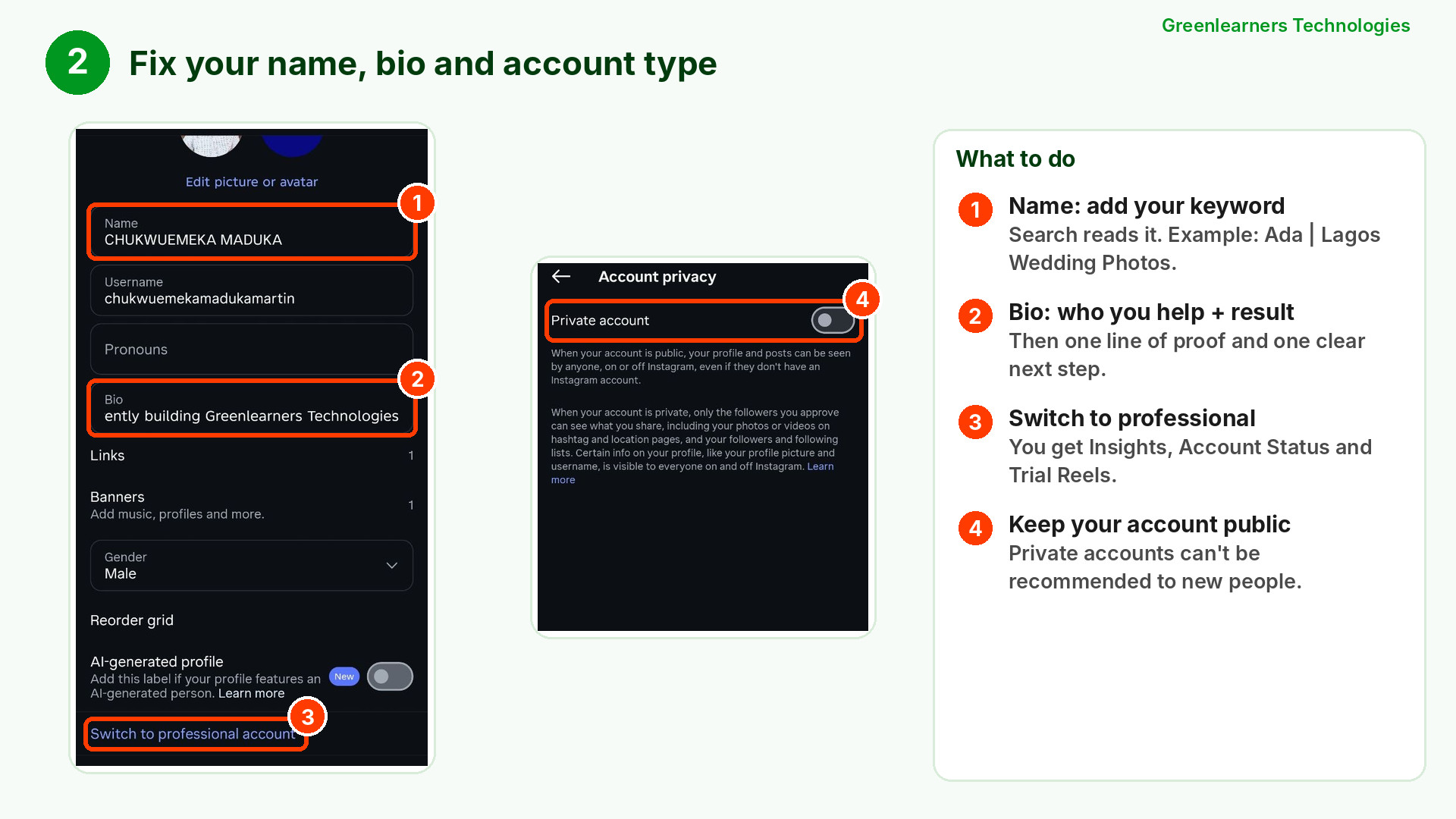 Instagram Edit profile screen showing the Name and Bio fields, Switch to professional account, and the Private account switch turned off