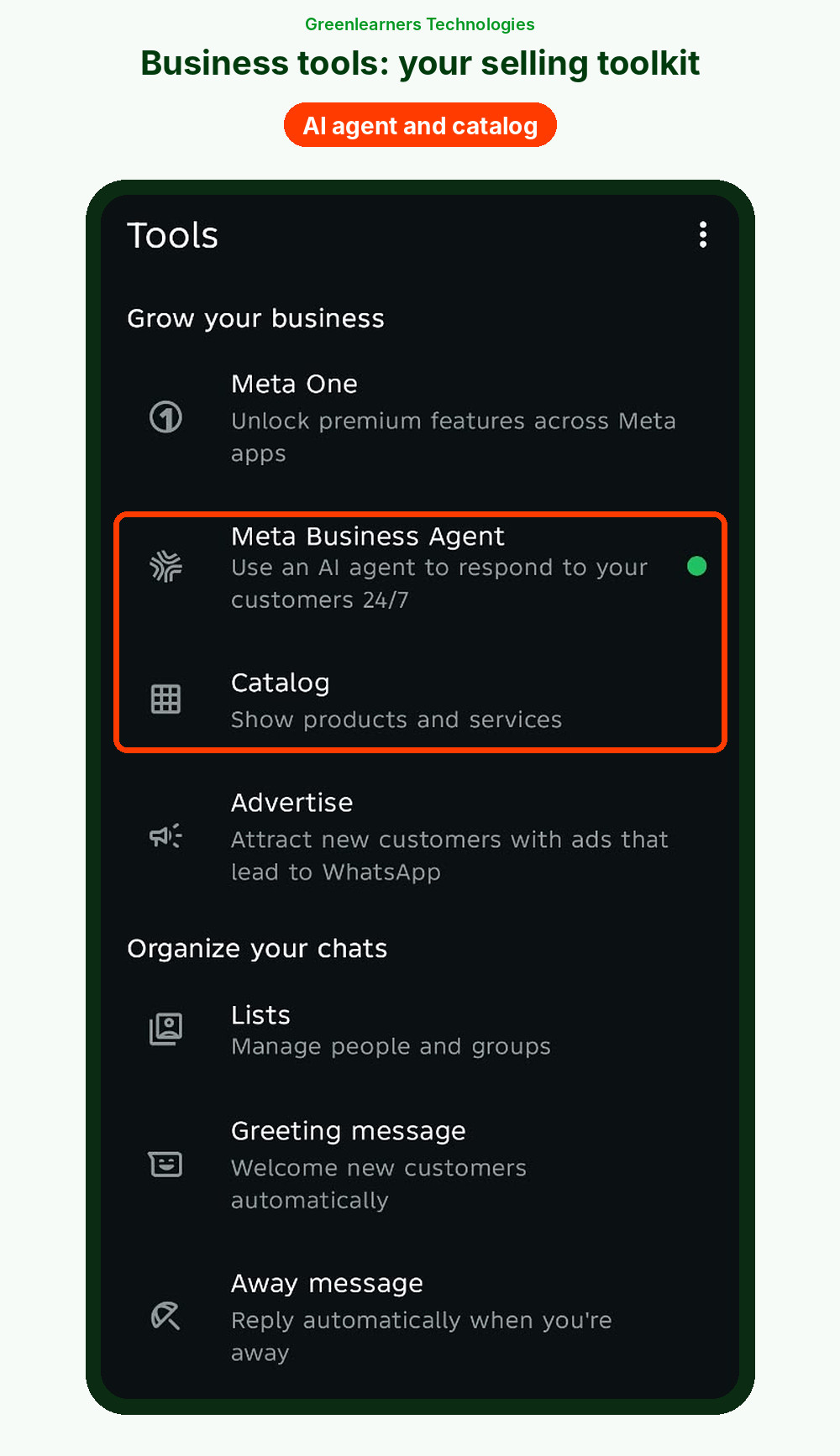 WhatsApp Business Tools tab showing Meta One, Meta Business Agent, Catalog, Advertise, Lists, greeting and away messages